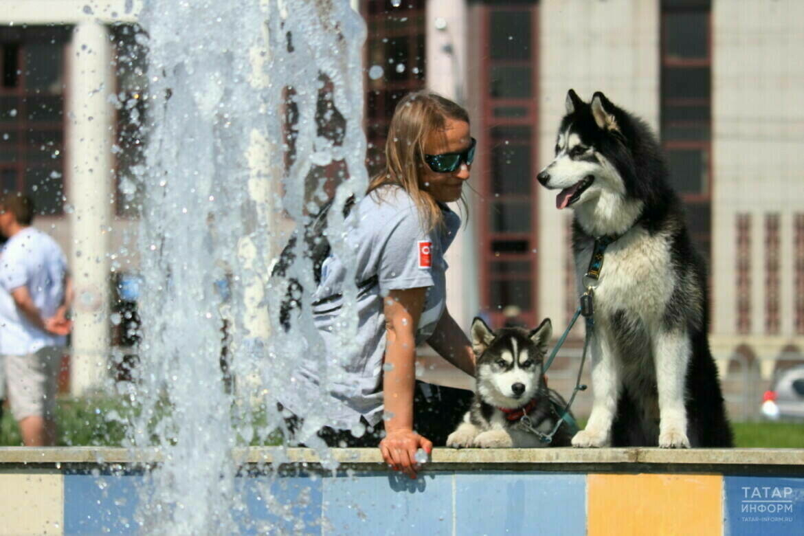 Россия Гидрометеоүзәге: 2025 ел тарихта иң эссе еллар бишлегенә керергә мөмкин