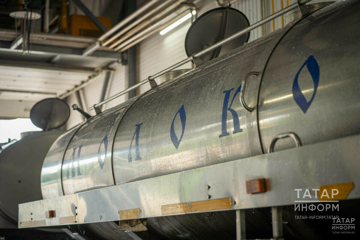 Татарстанда сөт җитештерү якынча 4 процентка арткан