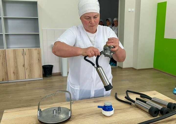 Балтачта иң яхшы сыер савучы һәм ясалма орлыкландыру технологын ачыкладылар