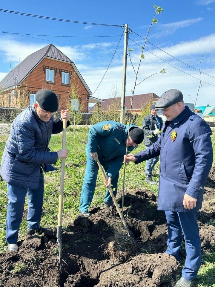 Бөек Җиңүнең 80 еллыгы уңаеннан Балтачта җитәкчеләр агачлар утыртты