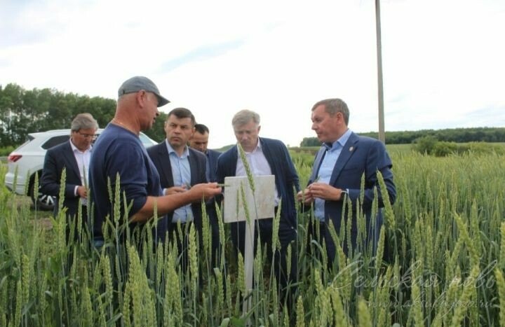Авыл хуҗалыгы һәм азык-төлек министры Аксубай районында эш сәфәрендә булды