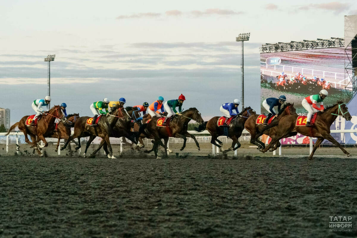 Казанда Республика көне уңаеннан Россия Президенты призына ат чабышлары була