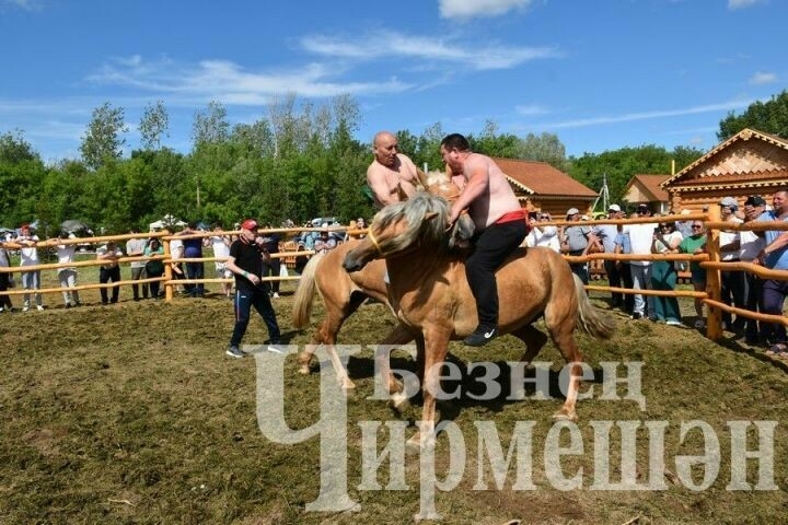 Чирмешән районы Сабан туенда «Аударыш» уены була