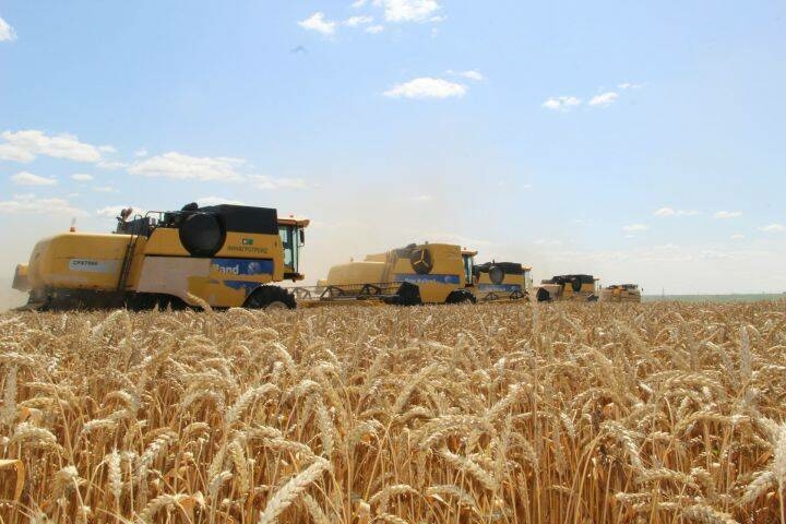 Зәй игенчеләре беренчеләрдән булып уракка төште