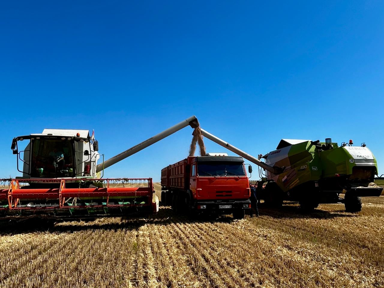 Арчада иң яхшы комбайнчылар арасында һөнәри осталык бәйгесе бара
