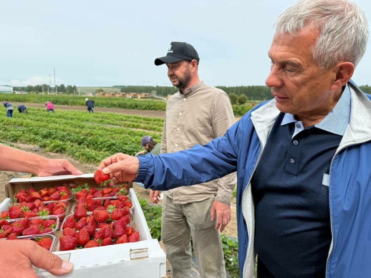 Рөстәм Миңнеханов Яшел Үзән районында «Ягодная долина» фермер хуҗалыгында булды
