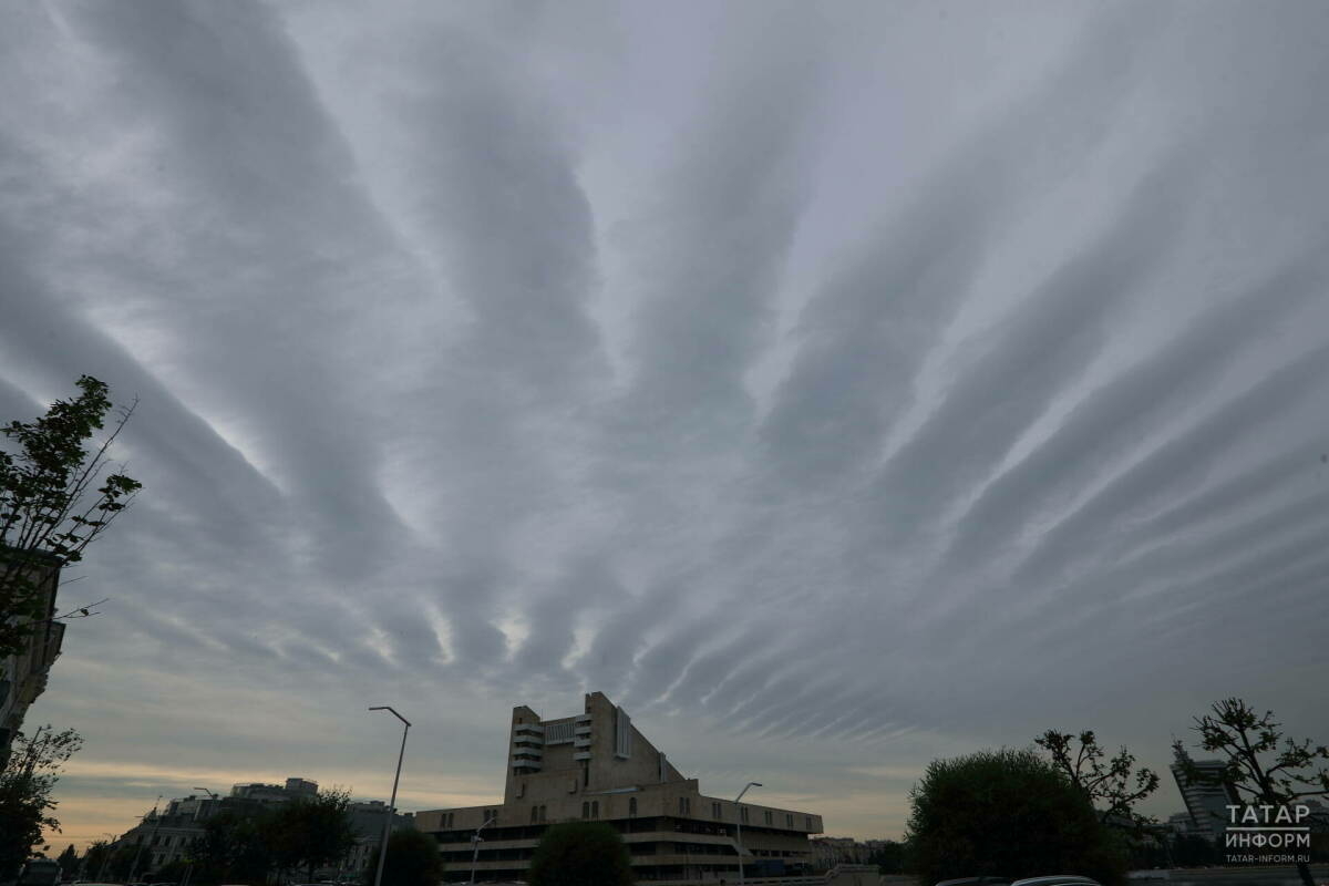 Татарстанда 24 градуска кадәр җылы булачак, урыны белән яңгыр явачак
