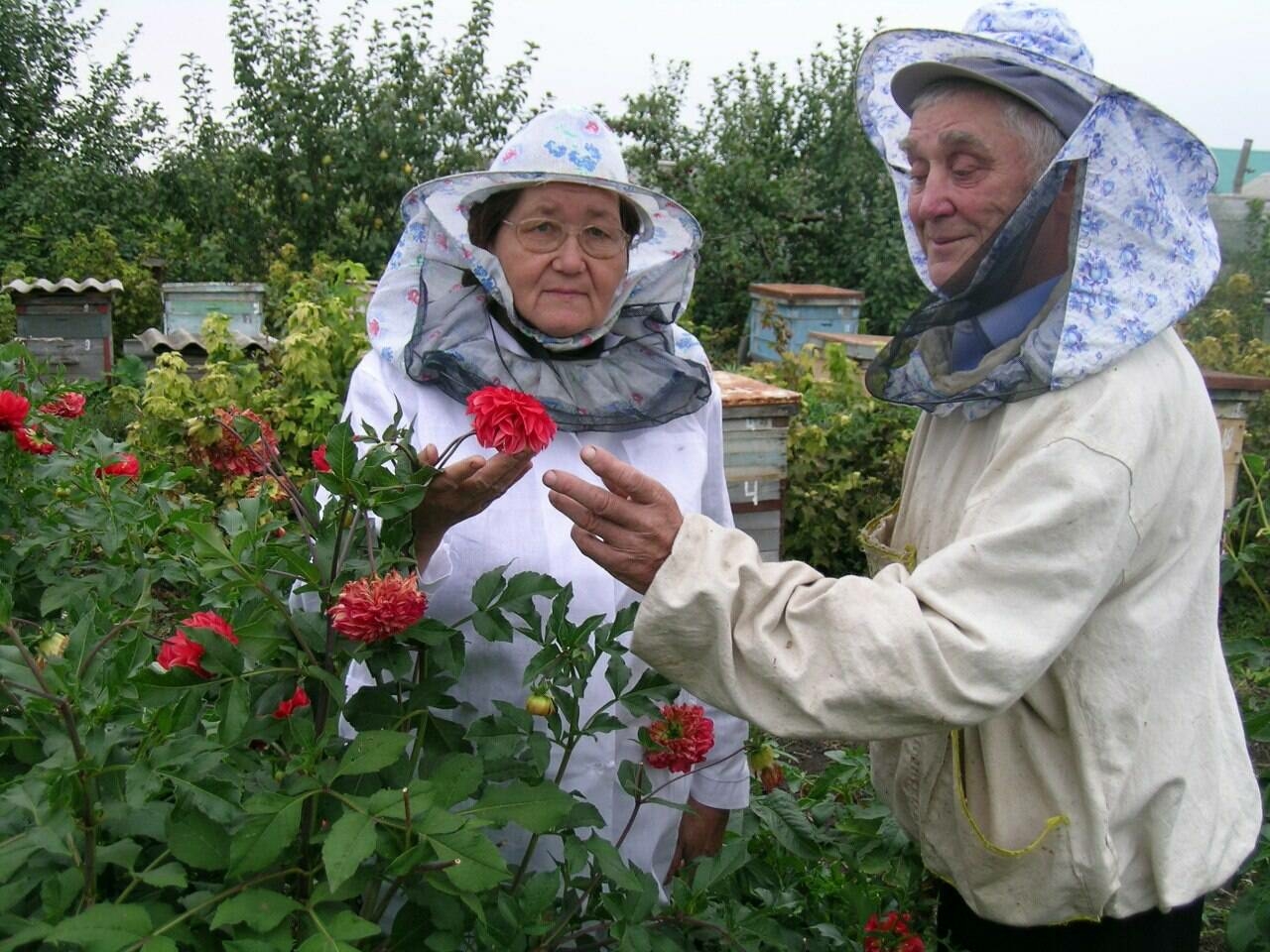 Чакмагышта Бал бәйрәме умартачыларны җыйды