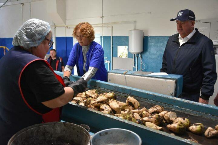 Зәй шикәр заводы чөгендер кабул итә башлады