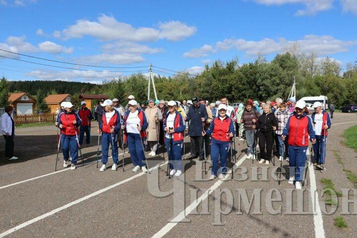 Чирмешәндә скандинав йөрүе буенча «Әйдә йөрергә!» фестивале булды