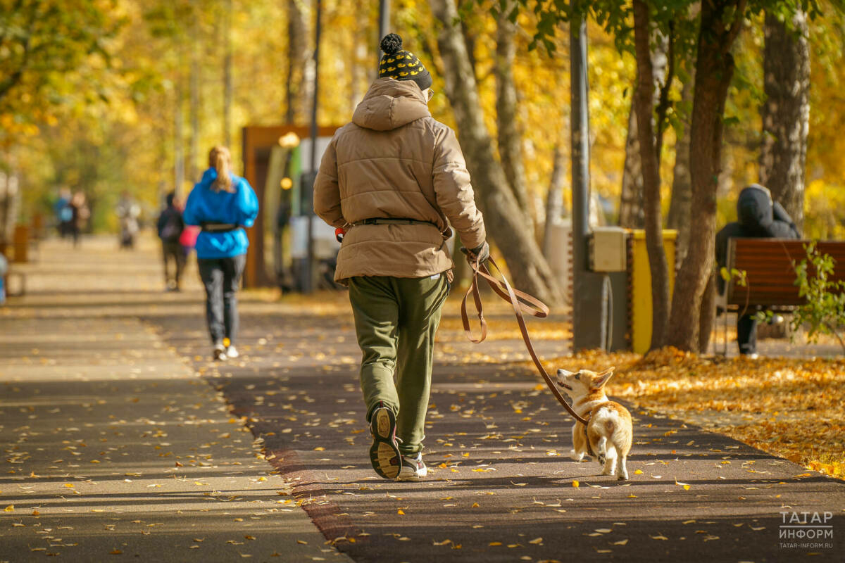 Синоптиклар Татарстанда кырау төшәчәге турында кисәтте