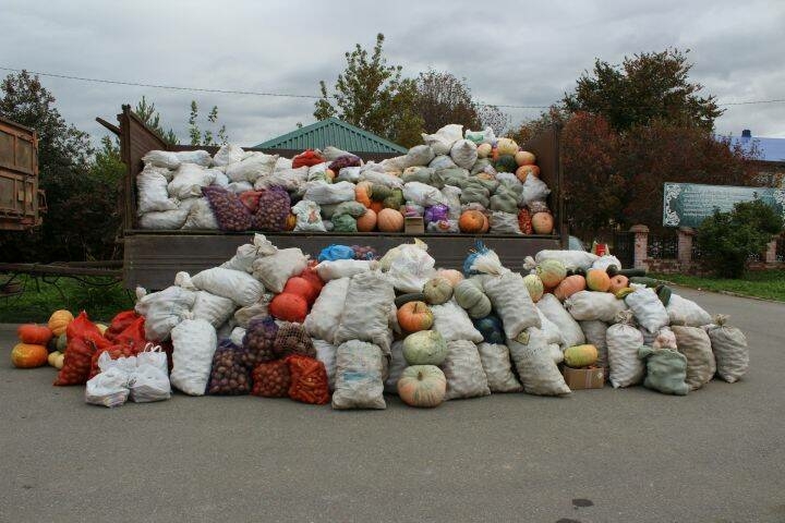Теләче районында яшәүчеләр гошер сәдакасы җыюда актив катнашкан
