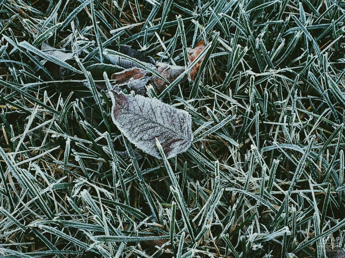 Татарстанда җомга көнне -2 градуска кадәр салкын булачак