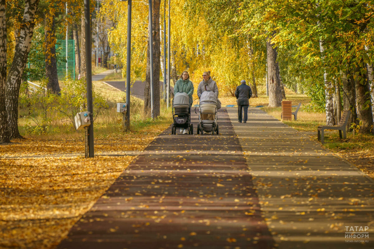 Татарстанда көндез +13 градуска кадәр җылы булачак, төнлә кырау төшә