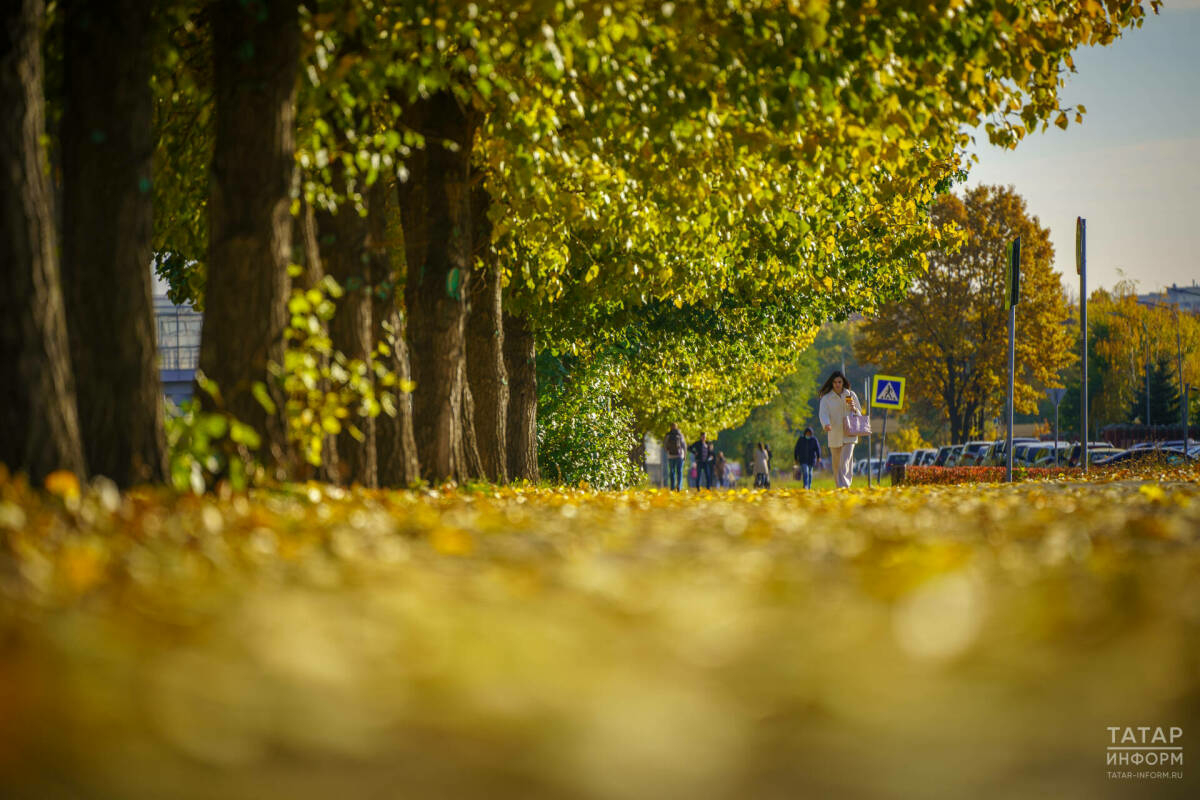 Татарстанда бу атнада температура нормадан ике градуска югарырак булачак