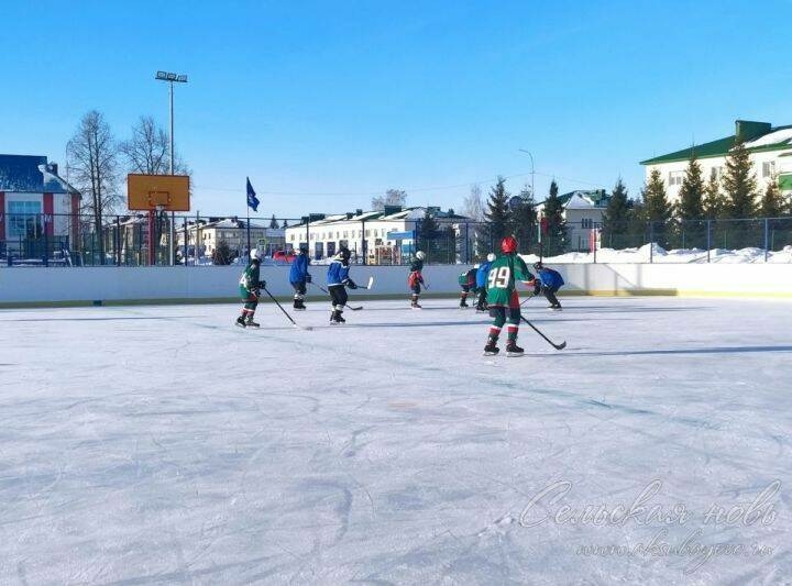 Аксубайда «Алтын алка-2026» бөтенроссия хоккей ярышларының финал уеннары башланды