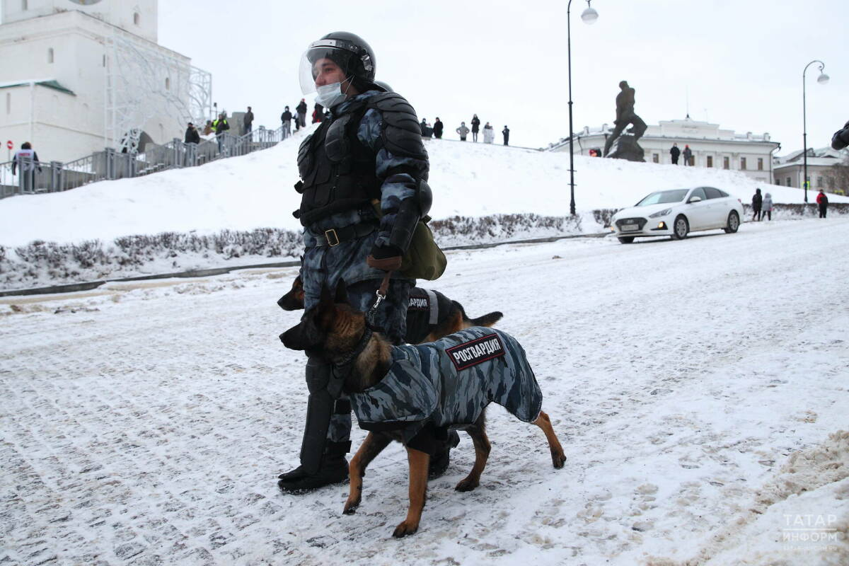 Татарстанда Яңа ел мәйданчыкларында 2,5 меңнән артык полиция хезмәткәре тәртип саклаган