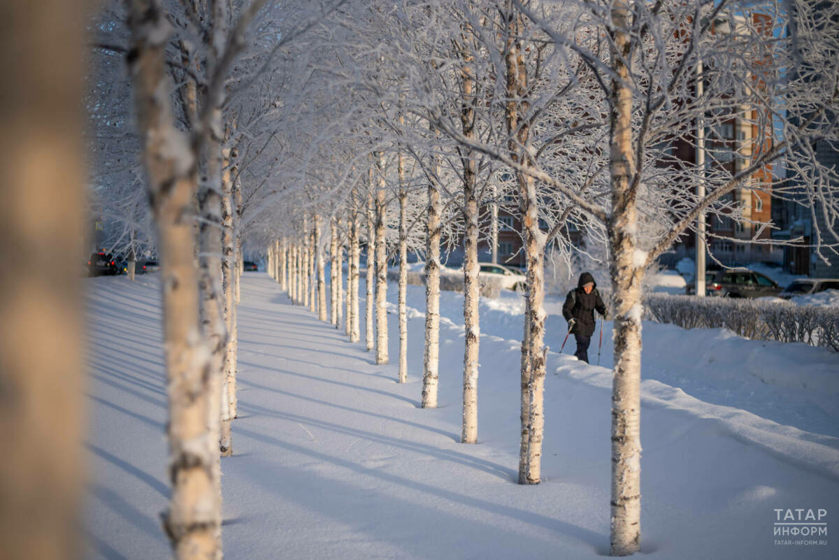 Салкын һава торышының сәламәтлек өчен нинди куркынычы бар: астма, экзема, депрессия