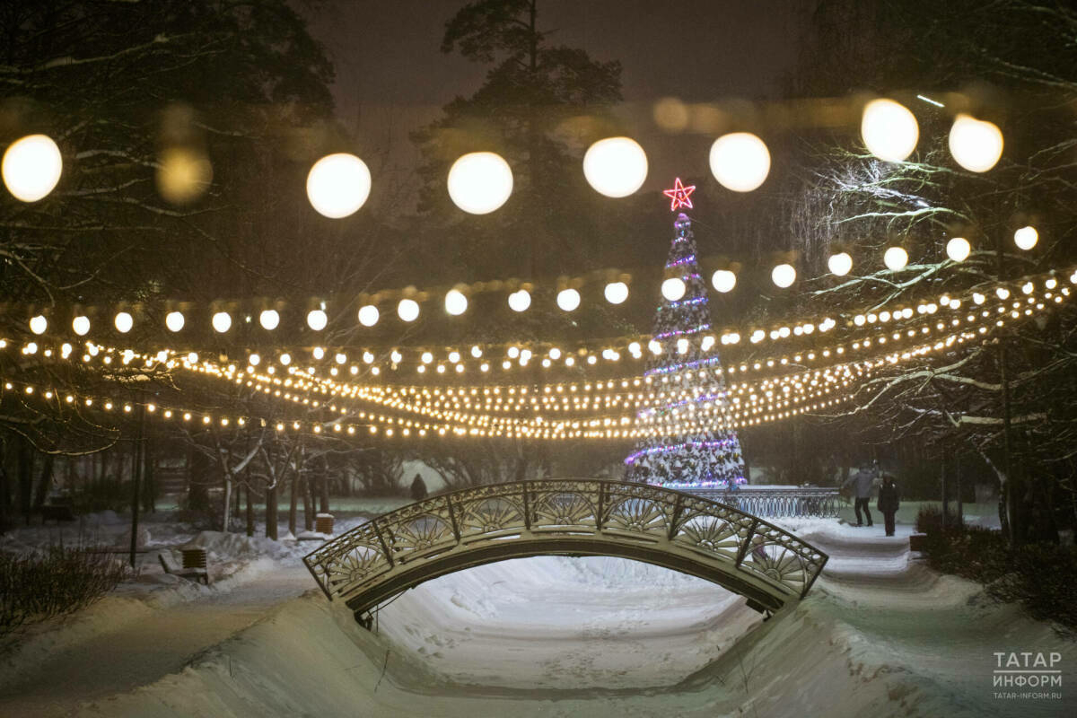 Татарстан Гидрометеорология үзәге гыйнварның иң салкын төнен атады