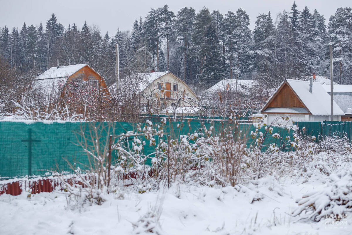 Белгеч бакчачыларның кышын үсемлекләргә зыян китерә ала торган хаталарын атады