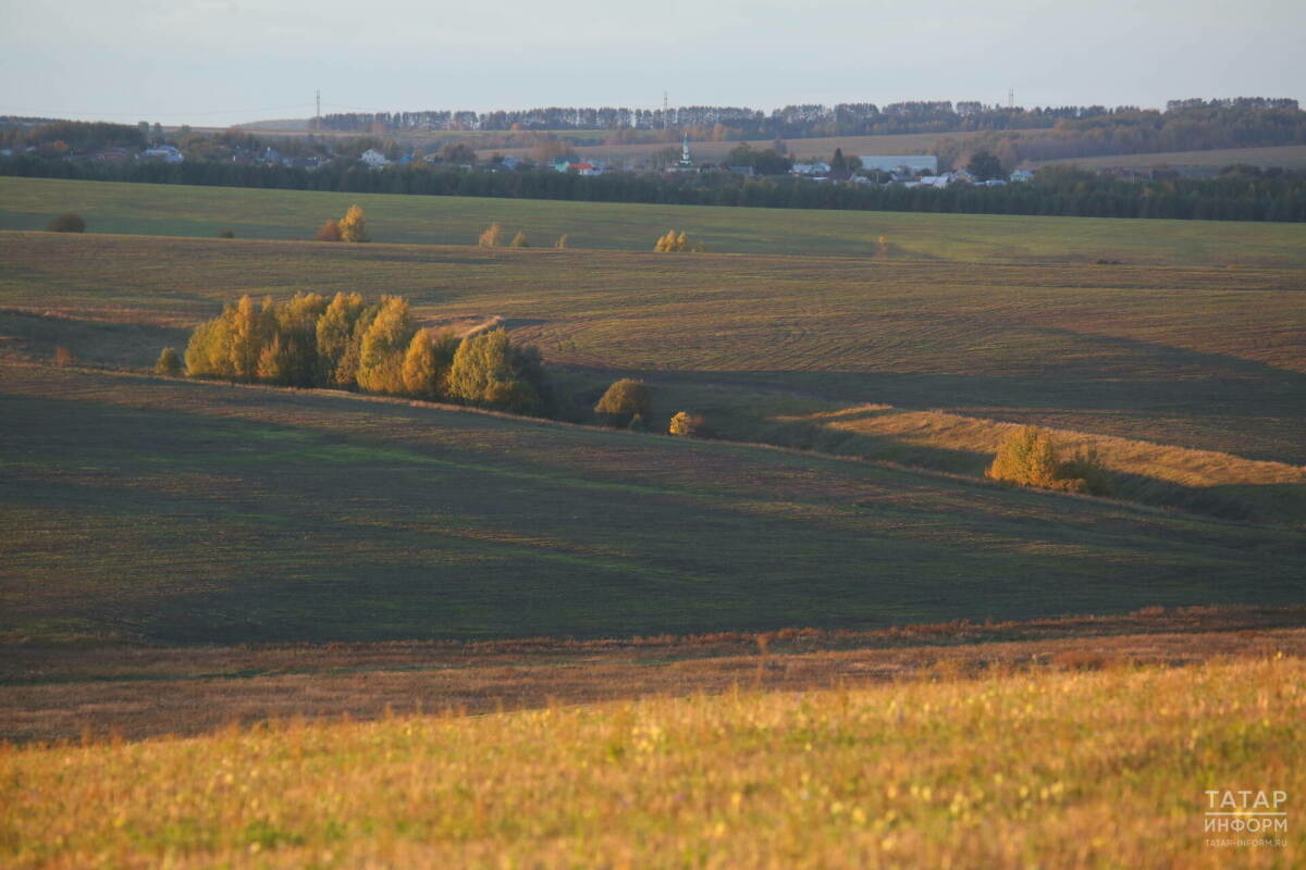 2025 елда Татарстанның җир күзәтчелеге авыл хуҗалыгы җирләренең 8 процентын колачлаган