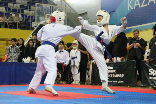 Казанда «Вакыт безне сайлады» фестивале кысаларында киокусинкай чемпионаты узачак
