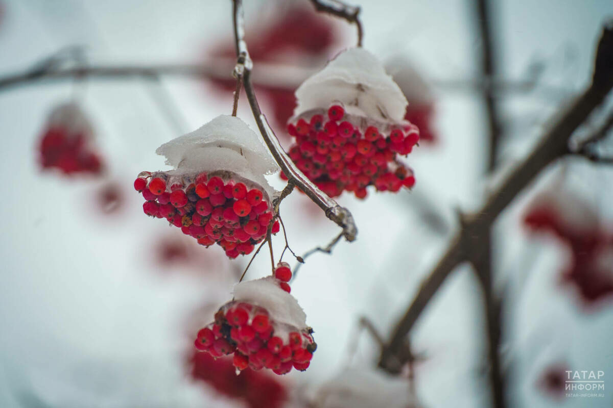 Татарстанда буран, бозлавык һәм көчле җил көтелә