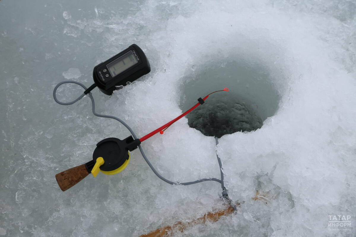 Февральдән «Мишә елгасы тамагы» тыюлыгы территориясендә балык тоту тыела