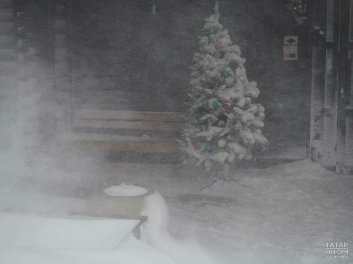 Синоптик Шувалов Татарстанда 2016 елгы кар рекордының кабатлануы турында хәбәр итте