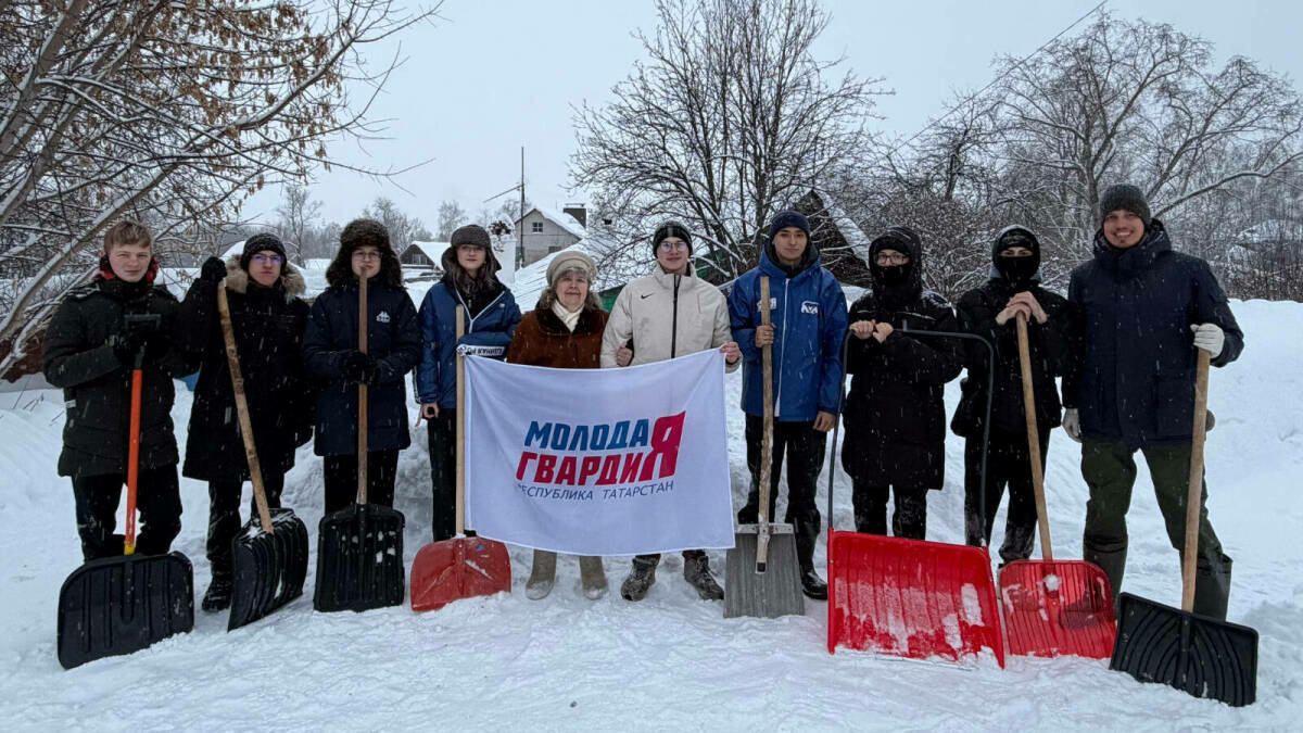 Активистлар Татарстан районнарында «Кар десанты» акциясен дәвам итә