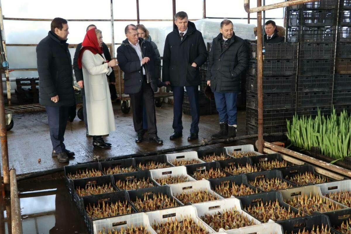 Депутат Максим Топилин Апас районында теплица хуҗалыгының эшен бәяләде