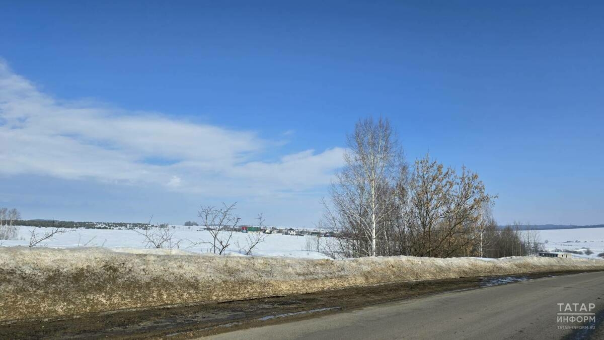 Татарстанда 11 градуска кадәр җылы булачак