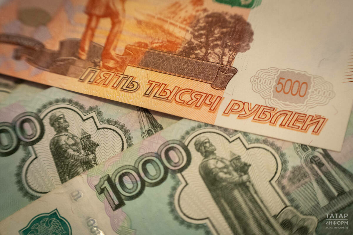 Икътисадчы бүлеп түләү турындагы законның мәгънәсен аңлатты