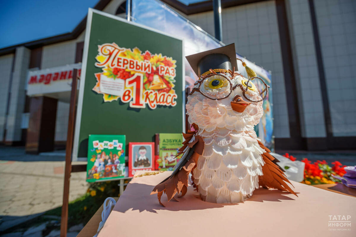 1 апрельдән «Дәүләт хезмәтләре»ндә баланы беренче сыйныфка язу мөмкинлеге барлыкка килә