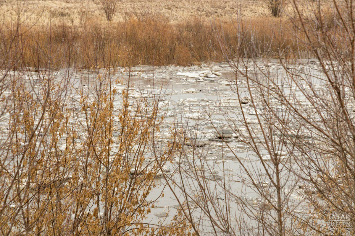 Синоптик Шувалов: Яз иртә килгән очракта ташу бик көчле булачак