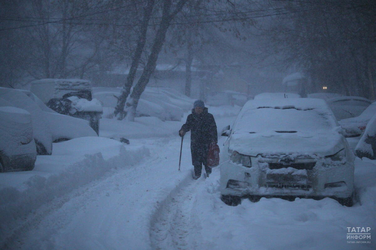 Татарстанда төнге салкыннардан соң -4 градуска кадәр җылыта