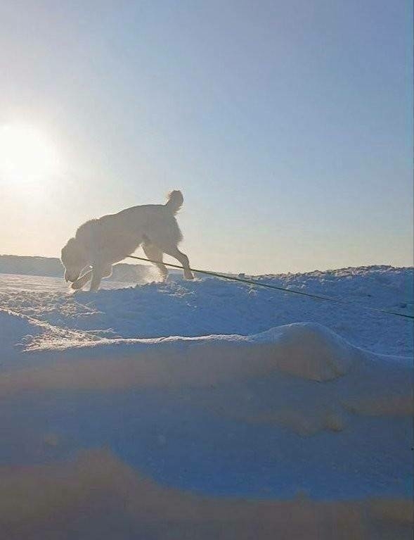 Миңнеханов Акдусның фотосы белән уртаклашты һәм татарстанлыларга җылы көннәр теләде