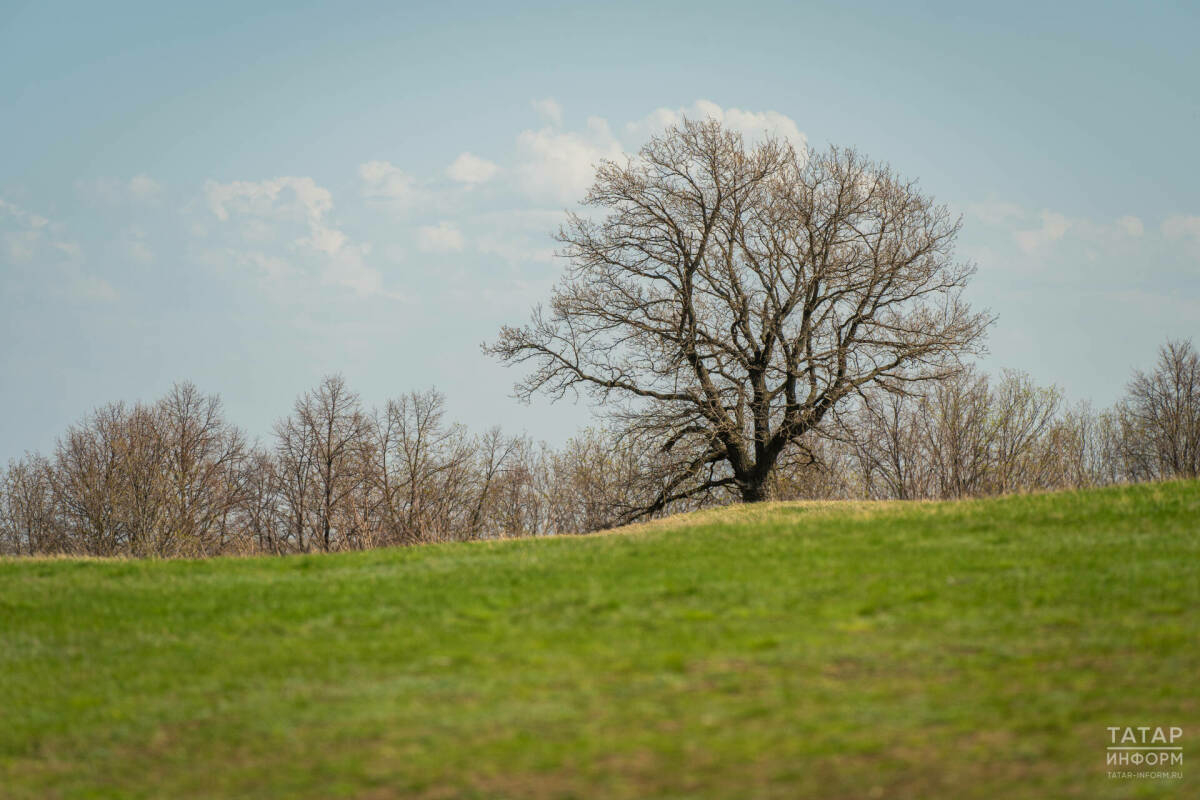 Татарстан халкын апрельдә кыска эш атнасы көтә