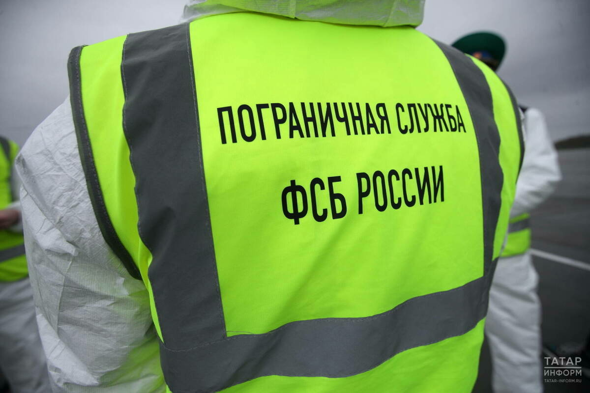 Роспотребнадзор илгә хантавирус үтеп керүгә юл куймас өчен чик буенда контрольне көчәйтте