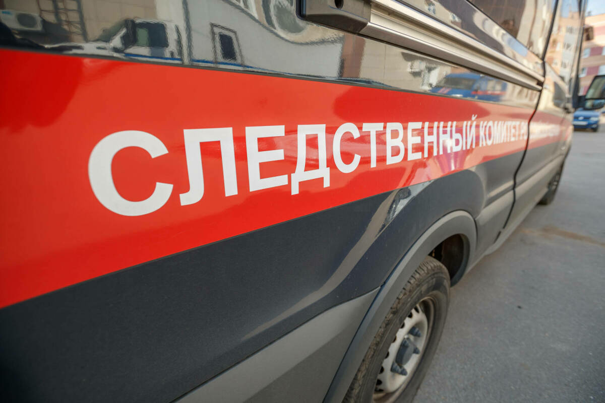 Түбән Камада 12 яшьлек кызга һөҗүм иткән бультерьерның хуҗасы ачыкланган