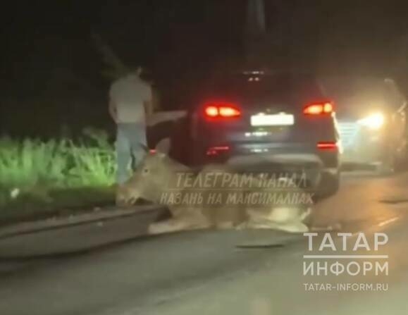 Казан янында машина бәрдергән поши видеога эләккән