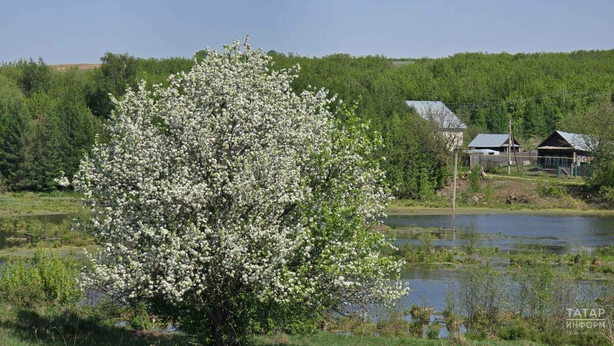 Татарстанда салкын төннән соң +28 градуска кадәр җылы булачак