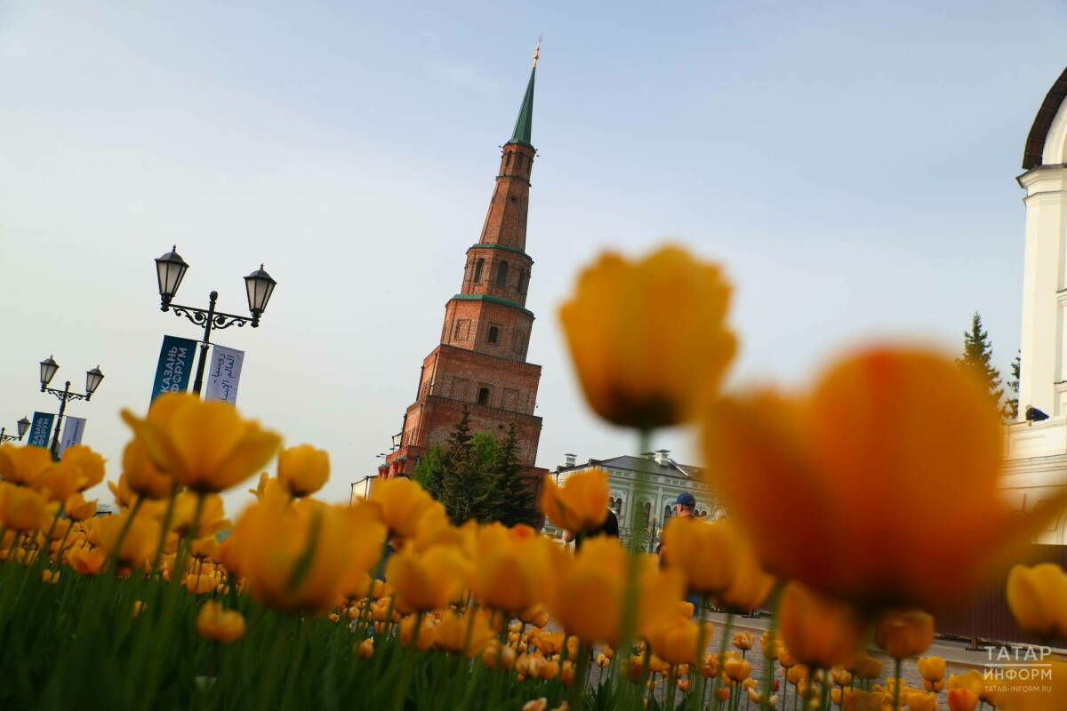 Татарстанда +30 градуска кадәр эссе булуы көтелә