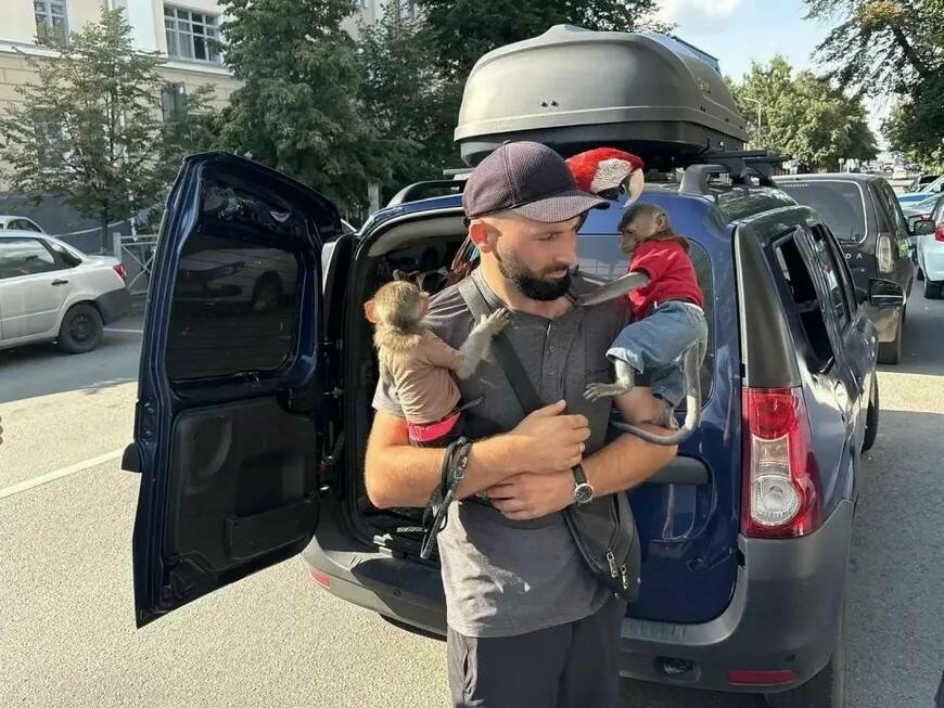 Бауман урамындагы фотографлардан законсыз кулланган өчен маймыл һәм попугайны алганнар