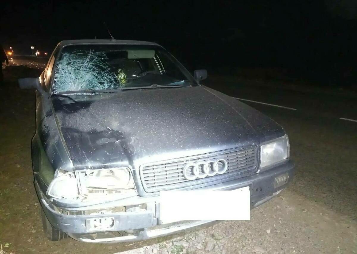 Татарстанда Audi һәм Honda автомобильләре җәяүлеләрне бәрдереп үтергән